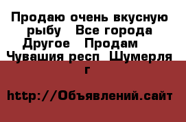 Продаю очень вкусную рыбу - Все города Другое » Продам   . Чувашия респ.,Шумерля г.